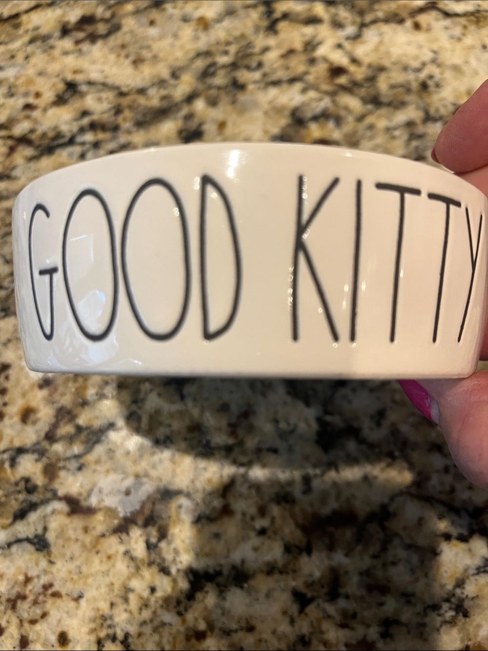 NWOT Rae Dunn GOOD KITTY food Bowl